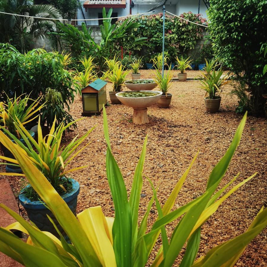 City Paradise Dambulla Ngoại thất bức ảnh