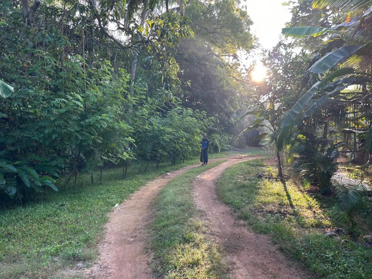 City Paradise Dambulla Ngoại thất bức ảnh