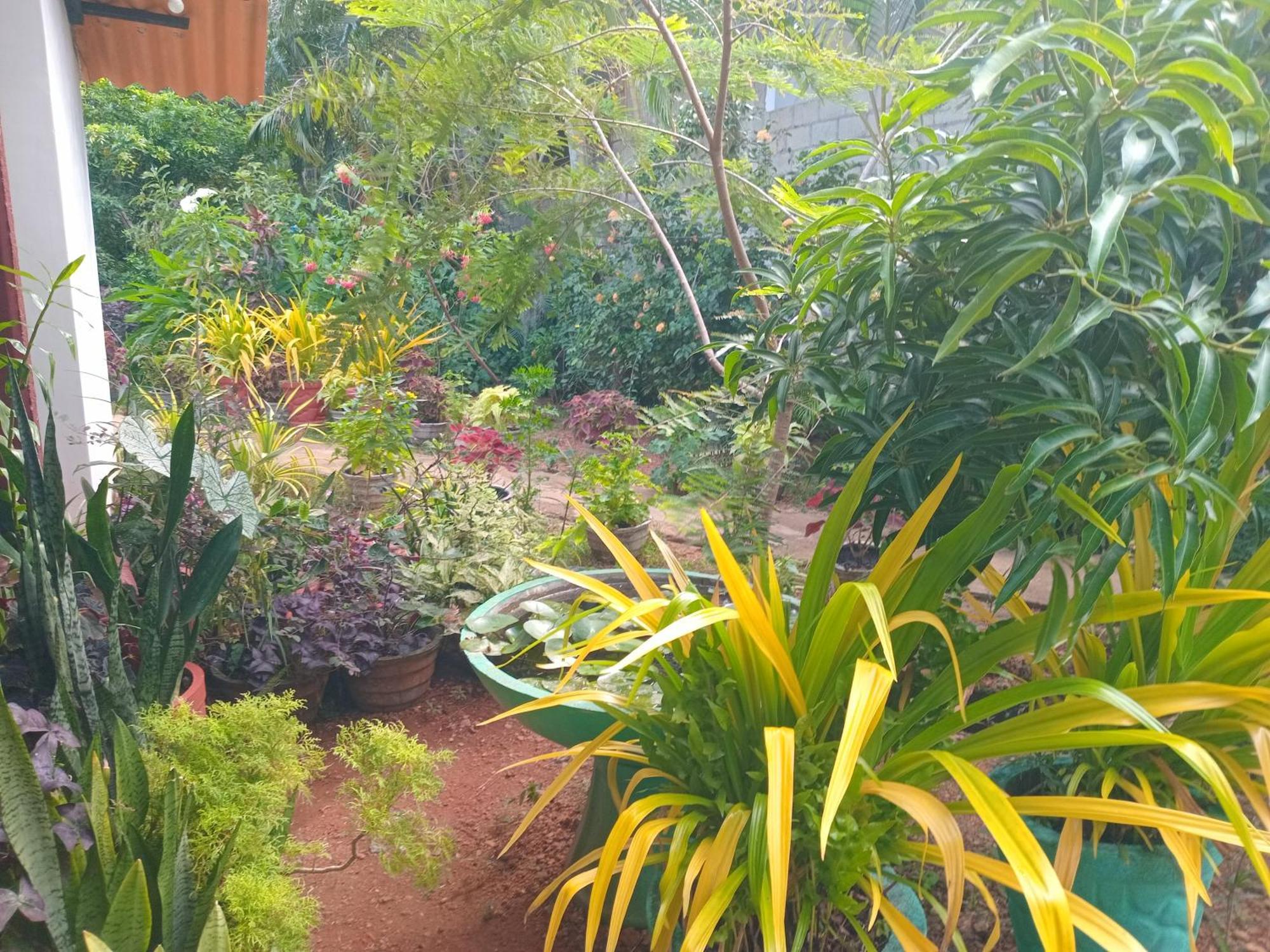 City Paradise Dambulla Ngoại thất bức ảnh