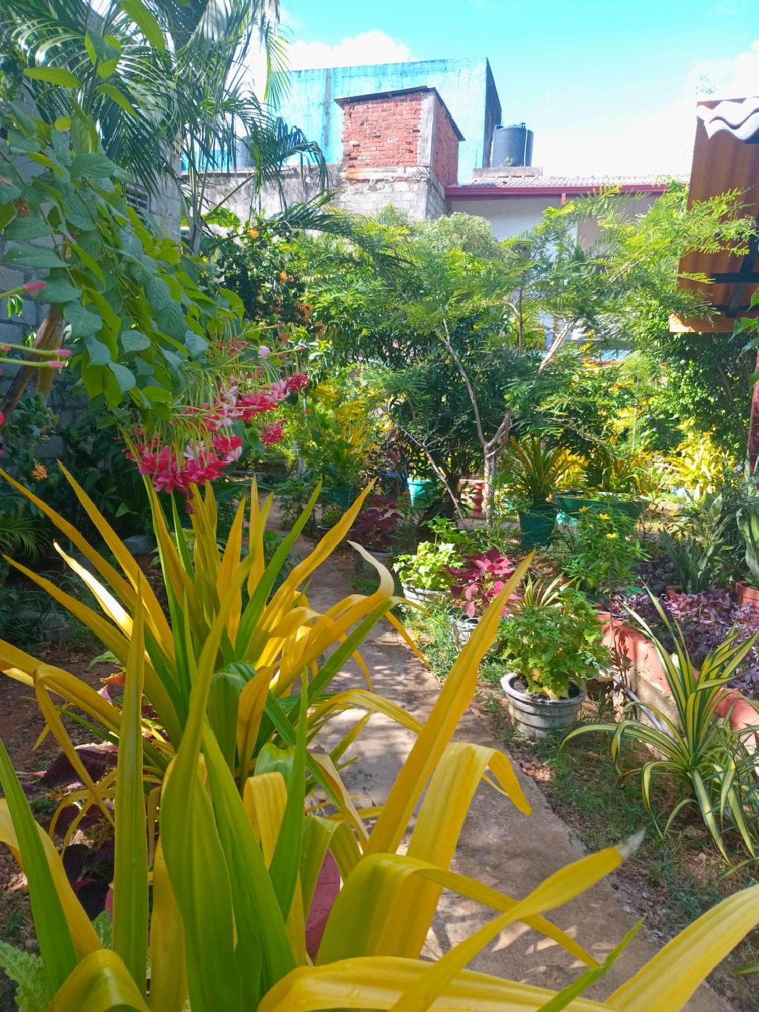City Paradise Dambulla Ngoại thất bức ảnh