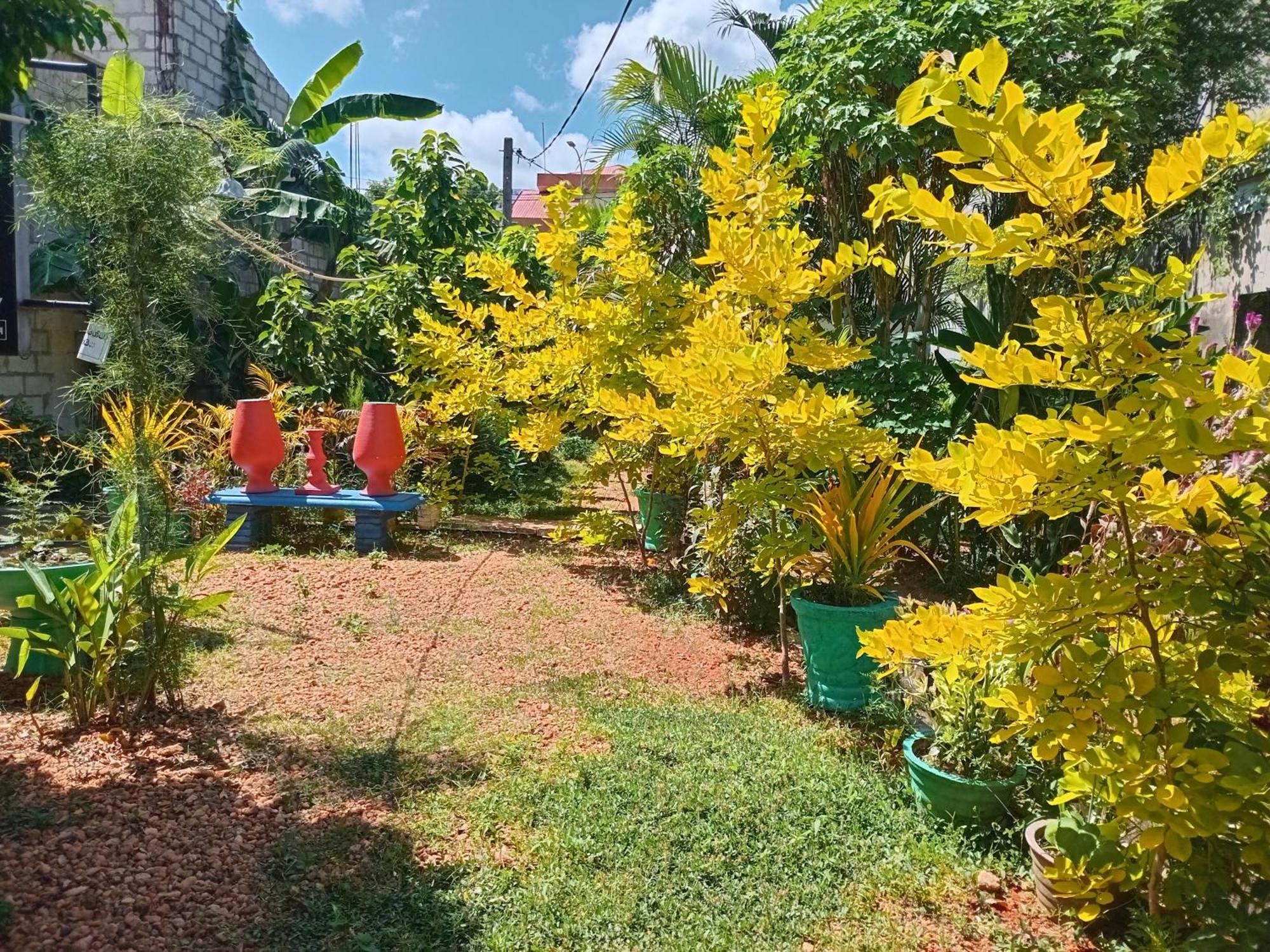 City Paradise Dambulla Ngoại thất bức ảnh