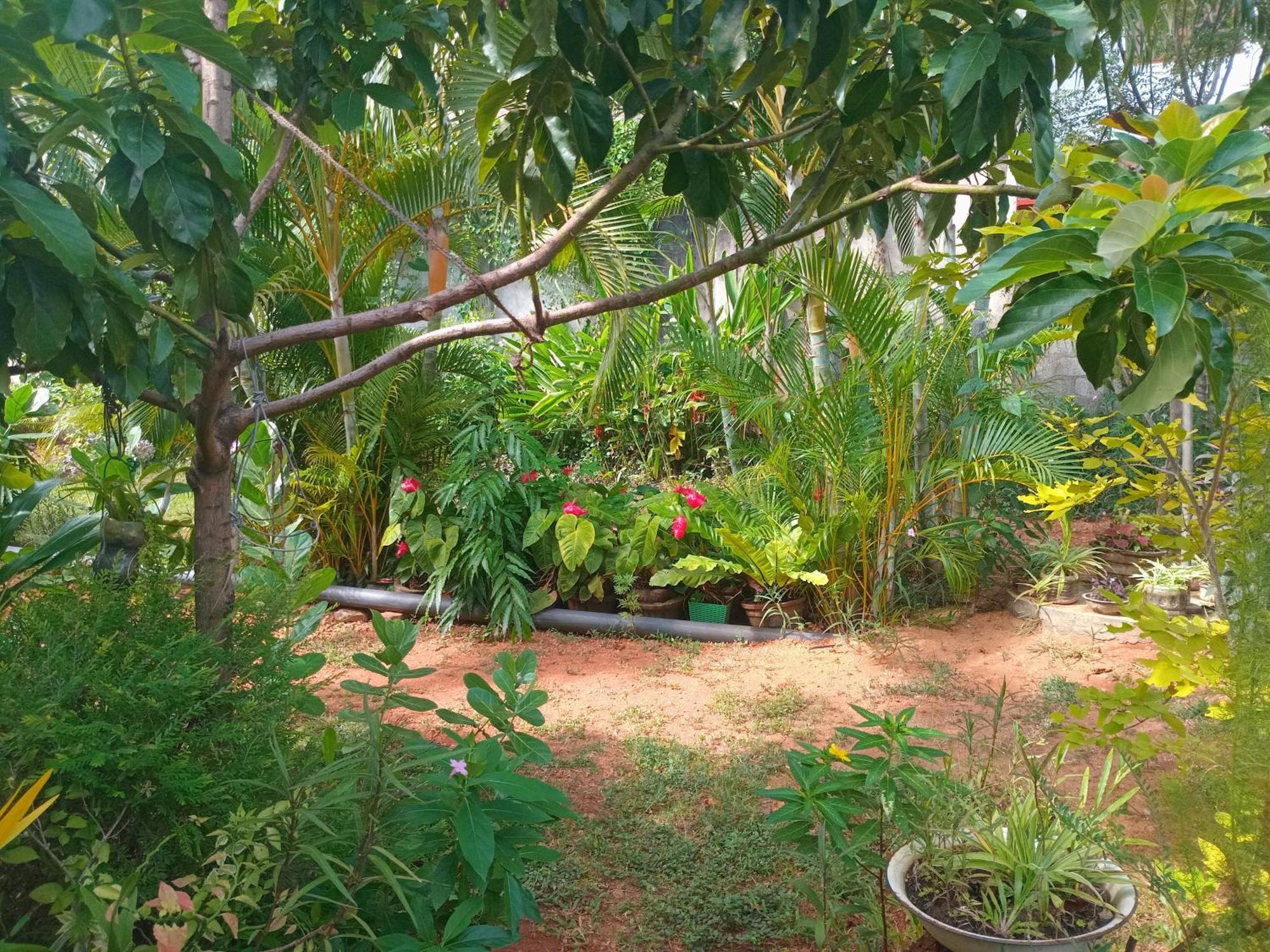 City Paradise Dambulla Ngoại thất bức ảnh