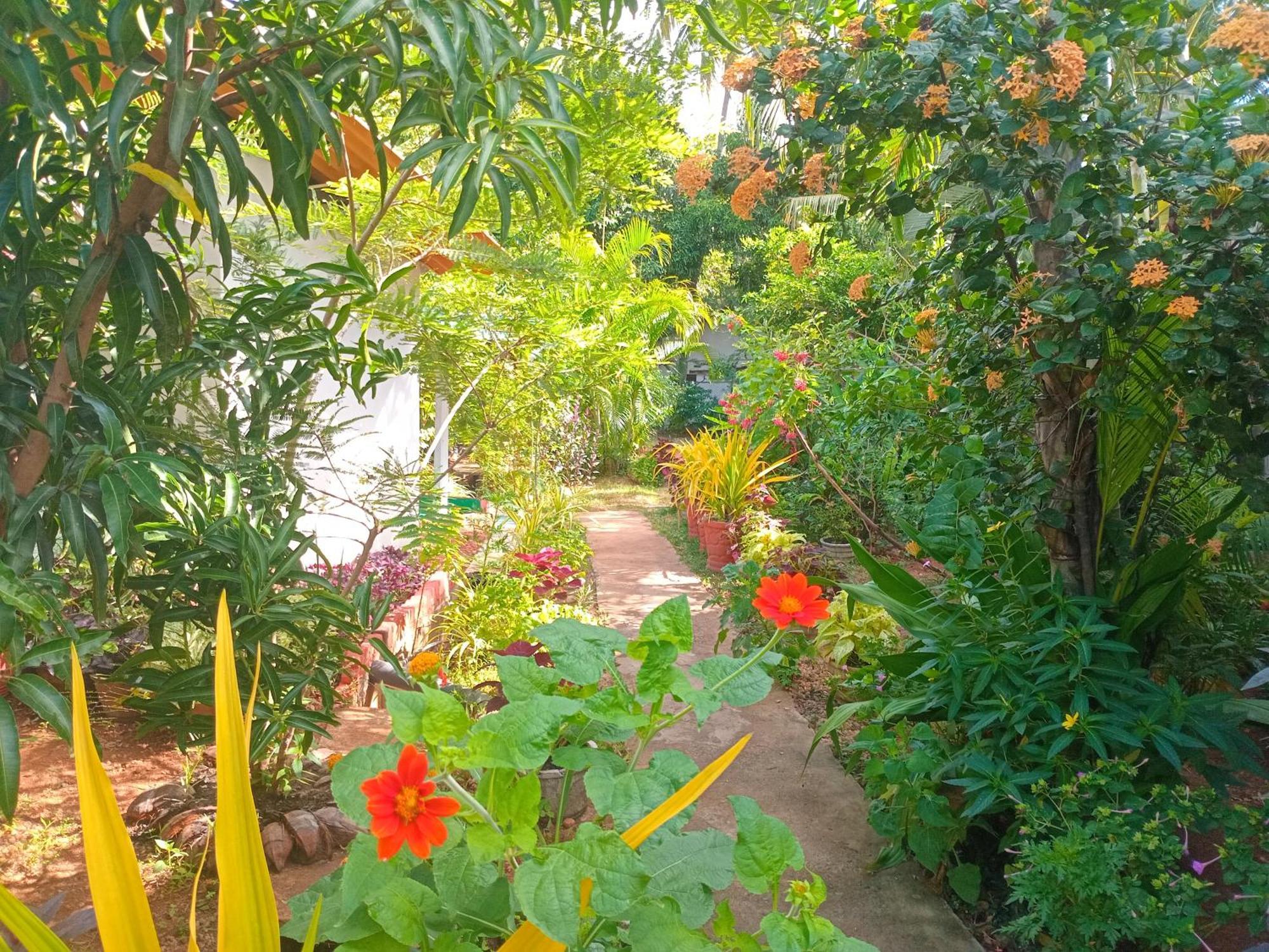 City Paradise Dambulla Ngoại thất bức ảnh