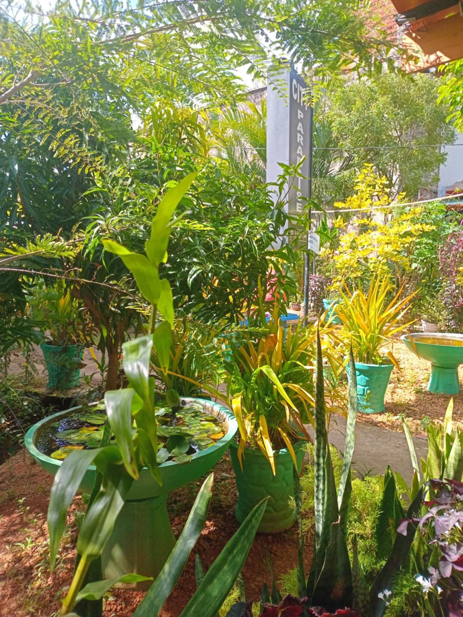 City Paradise Dambulla Ngoại thất bức ảnh
