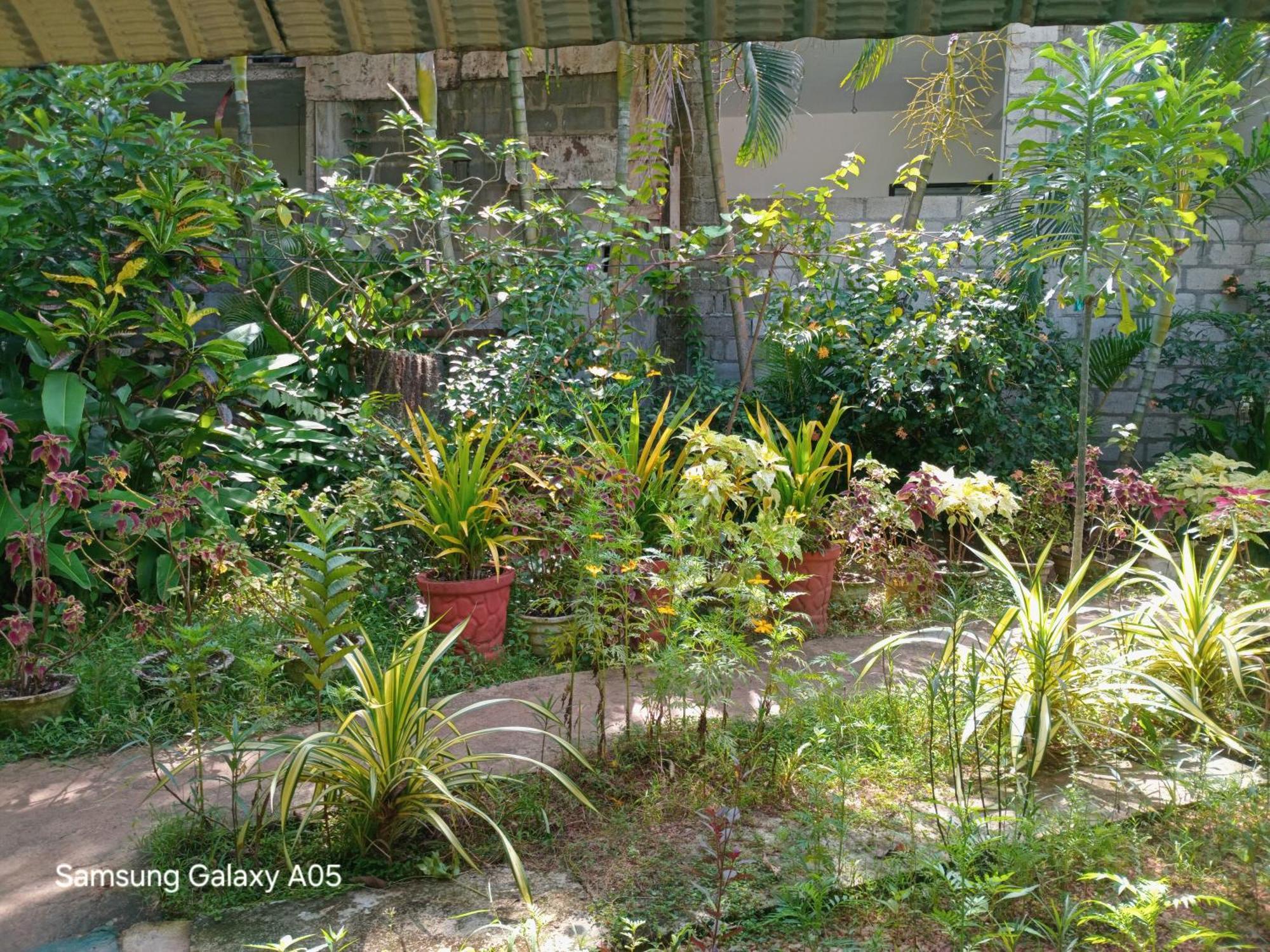 City Paradise Dambulla Ngoại thất bức ảnh